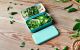 MONBENTO Original green Lagoon szczelny lunchbox
