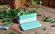 MONBENTO Original green Lagoon szczelny lunchbox