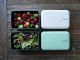 Bento box Takenaka Expanded Double 1,15 litra - Light Blue