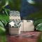 MONBENTO Original Jungle Natural - bento lunch box 1 litr (edycja limitowana)