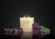 Cereria Molla Świeca xL 600gr. Black Orchid and Lily