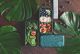 MONBENTO Original Jungle - bento lunch box 1 litr