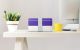 MONBENTO Original Collection - dwupoziomowy bento lunchbox utra violet
