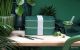 MONBENTO Original Collection - Jungle lunchbox (edycja limitowana)
